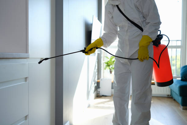 Professional Mold Removal in North Ballston Spa, NY
