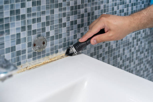 Best Certified Mold Removal  in North Ballston Spa, NY